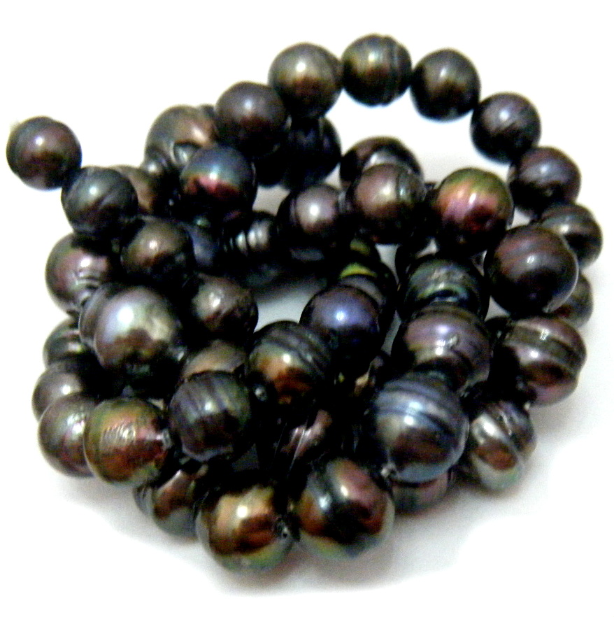 Black Circle Akoya Pearls